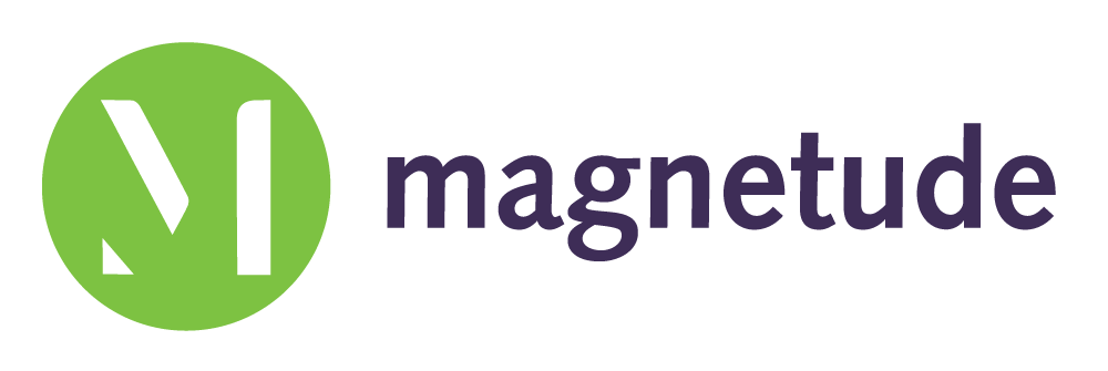 Magnetude_for_web.jpg